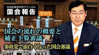 国会の流れの概要と補正予算審議　～参政党で面白くなった国会審議～【国会報告】その