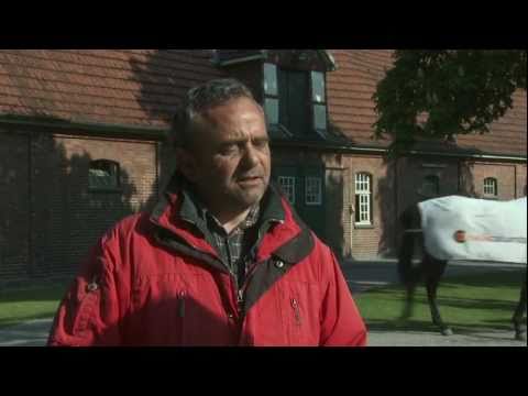 Stallcheck bei Andreas Wöhler - Pferdewetten.de