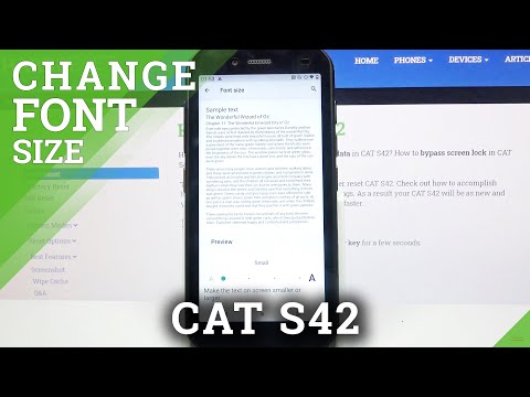 How to Change Size of Text in Cat S42 - Adjust Font Size