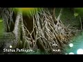 Kayal Movie Song Kayal Ananthi Kayal