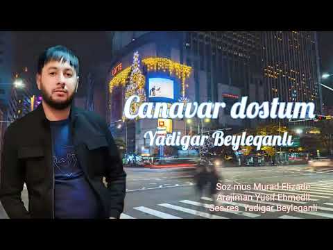 Yadigar Beyleqanli Canavar Dostum