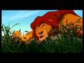 Lion King Morning Report Swedish