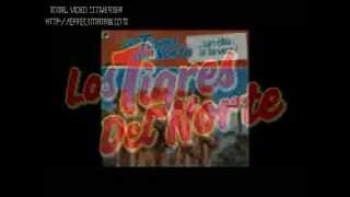 Los Tigres del Norte-Como Un Cobarde
