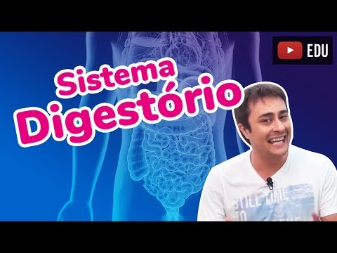 SISTEMA DIGESTÓRIO | Prof. Paulo Jubilut