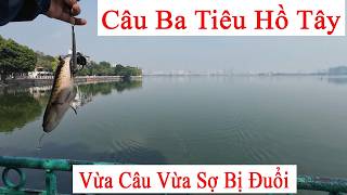 Câu Ba Tiêu Hồ Tây Vừa Câu Vừa Sợ Bị Đuổi - nhatthanhfishing.vn