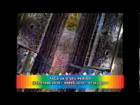 Desfile Alegria da Zona Sul 2014