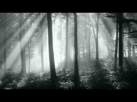 【Instrumental】 The Primeval Woods