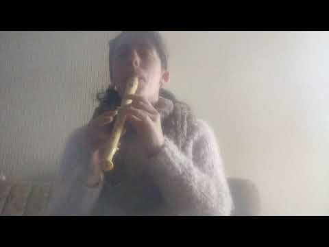 Happier - Marshmello ft. Bastille (Flauta Dulce)