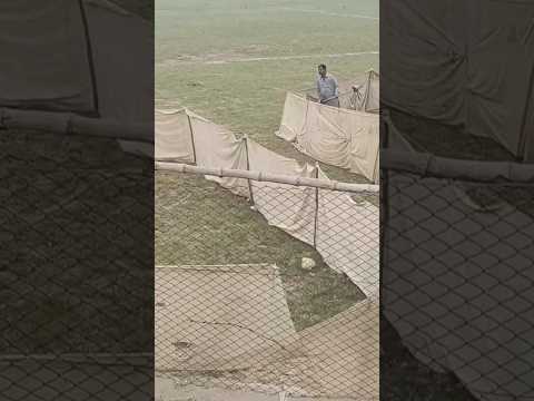 daily shorts ✅ || subscribe my channel 😎🙏#viral #love #game #sindh #running #dogs