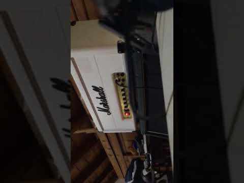 Marshall jmp Randy Rhoads (Doug Aldrich MOD)