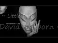 David Sanborn ~ Little Face