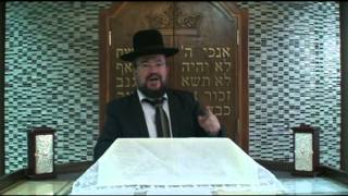 פרשת שופטים – משפחה לא בוחרים