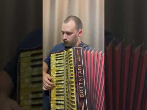 Buttstadt Piano Accordion Germany 1930s-1940s, Professionally Restored + Original Case image 24