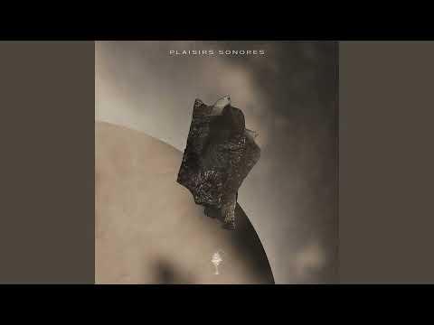 Tamir Regev - Silver Joe (Original Mix)