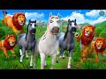 Epic Animal Kingdom Face-Off: Lion Pride vs Horse Herd Battle - Who Will Reign Supreme? Animal Fight