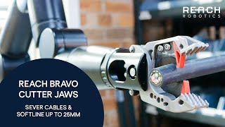 Reach Bravo Cutter | REACH ROBOTICS