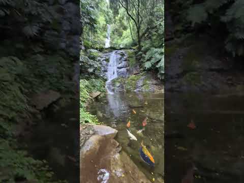 Encantos de Poços de Caldas. Fonte dos Amores. 2026 #fontedosamores #minas gerais #pocosdecaldasmg