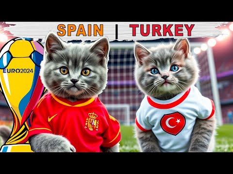 🐾 EURO 2024 CAT SEMIFINAL! SPAIN VS TURKEY | HILARIOUS KITTEN SOCCER MATCH IN ISTANBUL ⚽