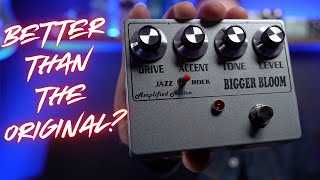 Carlos Santana Would Love This! Amplified Nation Bigger Bloom Dumble Overdrive