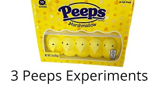 Peeps Sink or Float? The Surprising Results!