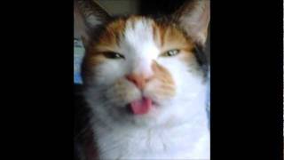 Give Me the Seventies by Carlos Jean--High Quality