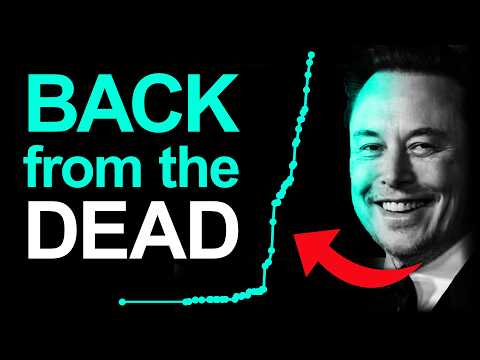 What The F**k Just Happened? Tesla Order Backlog SURGES After New Product Debuts At Budget Price