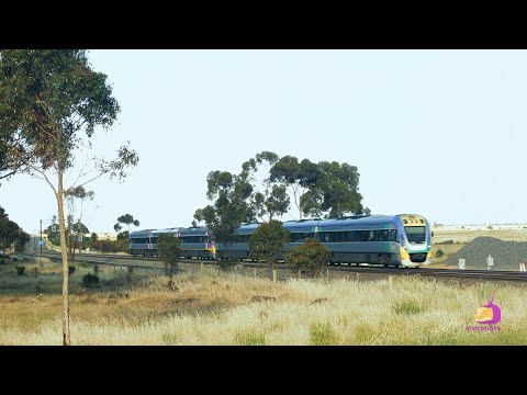 Victorian Trains: Little River and Manor Junction