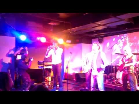 Riddim Colony feat. Dani - Stress Free, live@Gödör