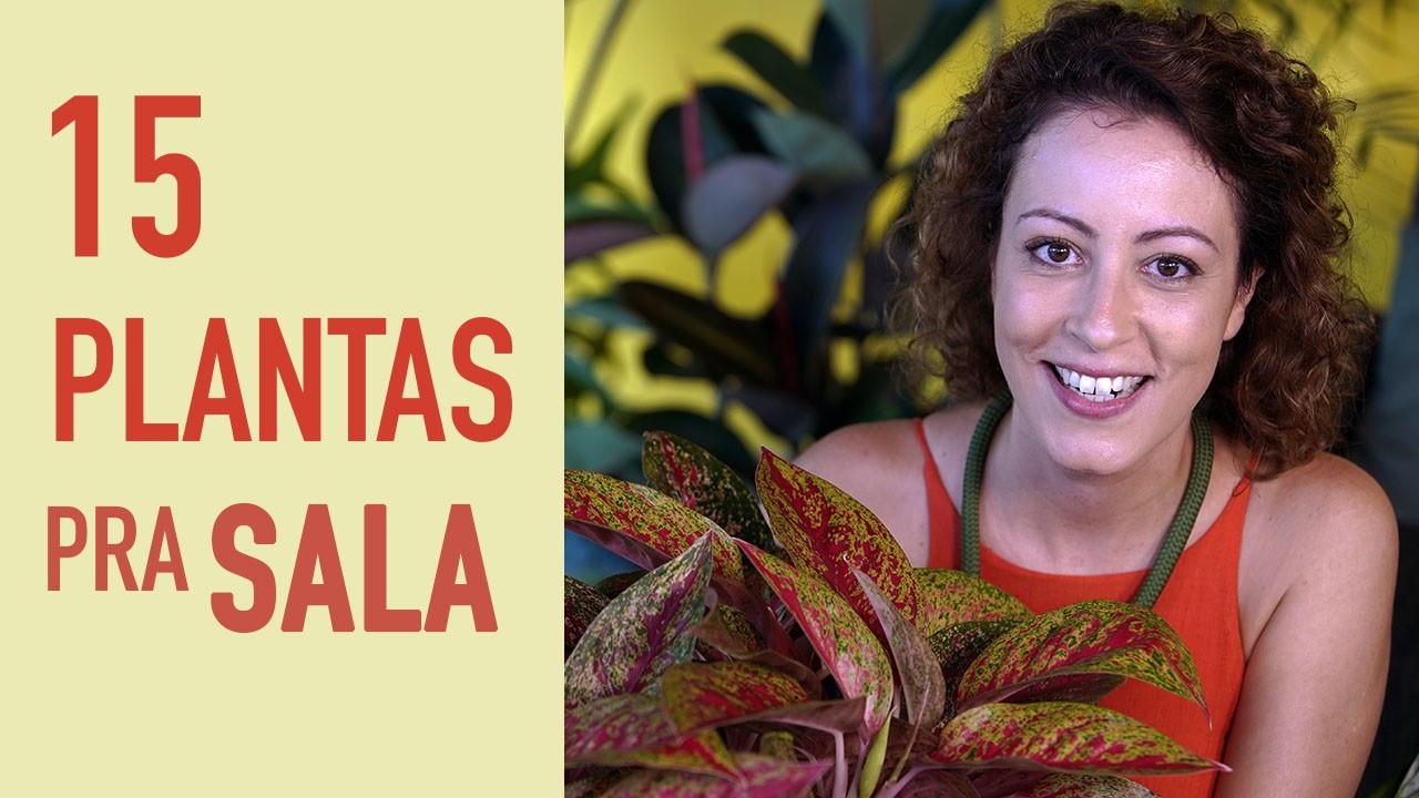 15 PLANTAS PEQUENAS que fazem uma GRANDE diferença em CASA