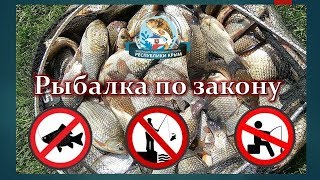 Какую рыбы нельзя ловить в реке как