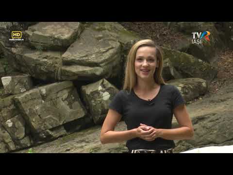 Descriptio Moldaviae - Darmanesti