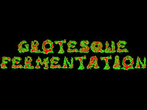 Grotesque Fermentation - Goregasmic Pleasures Of Excruciating Malady (2011)