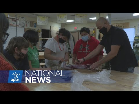 Students learn how to snare and clean a rabbit, the...
