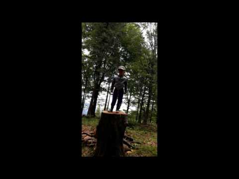 OLAF PRP - Synu (3/4 UDGS) WERSJA PRÓBNA