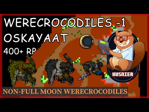 Werecrocodiles -1 | 400+ Paladin | Oskayaat | Tibia