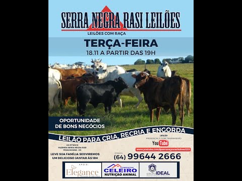 LEILÃO  SERRA NEGRA RASI LEILÕES - PIRACANJUBA - GO | 18 DE NOVEMBRO DE 2025