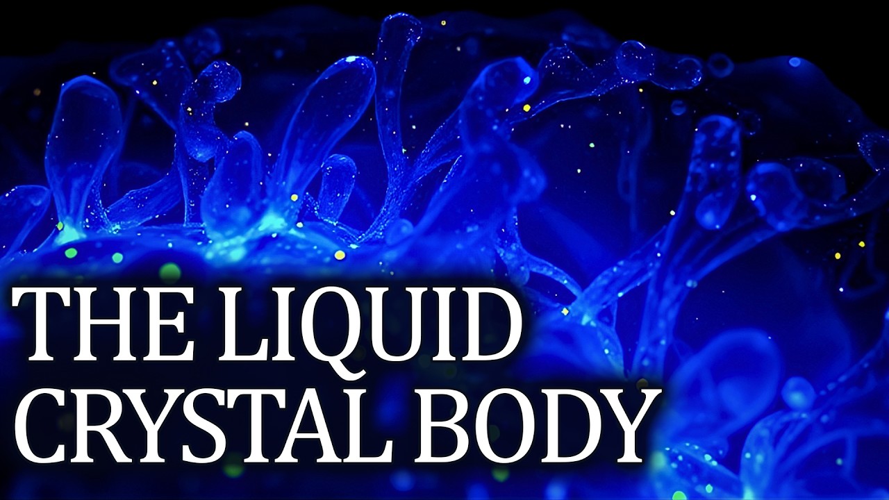The Liquid Crystal Body: The New Physics of Living Matter