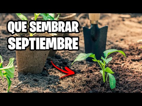 , title : 'Que sembrar en SEPTIEMBRE para Huerto y Jardín🌱 Mini Calendario de Siembra 2022 | La Huerta de Ivan'