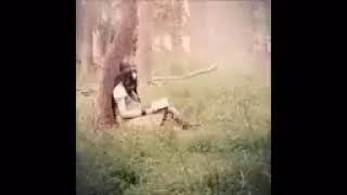 Van Morrison  So Quiet In Here