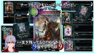 【災禍を超えし者】ナーフとバフきた！環境予想とボツったデッキ紹介モドキ【シャドウバース/Shadowverse】