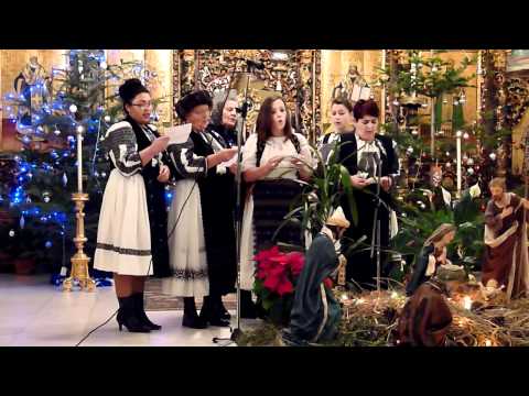 2011 Colindatori din Bălcaciu