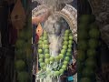 Palani Murugan Pala Abhishekam
