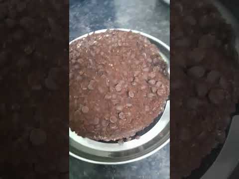#havmor chocolate ice-cream cake reviews #trending #shorts #havmoricecream #havmor #travelmastifood