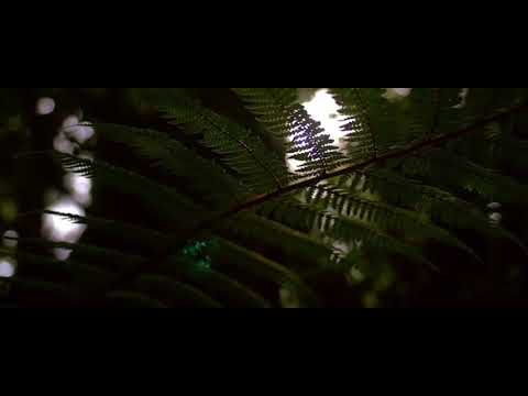 Alex Rose - The Way I Thought You Were (Official Video)