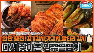 20220921 아라쇼 83회 양주골 김치특집 다시보기