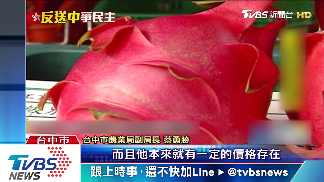 香港罷工 台中哈密瓜、火龍果外銷單遭殃