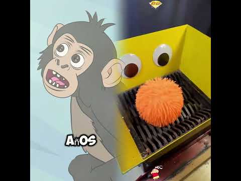 #foryou #funny #humor #lifeisbutadream