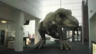 T. Rex In The Atrium (2010)