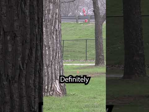 Clash Discs Mint Disc Review with Erika Stinchcomb