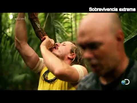 DESAFIO EM DOSE DUPLA BRASIL [FULL HD]